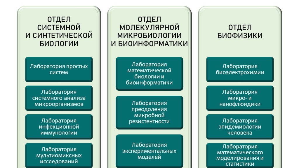 Структура НИИ СБМ.jpg