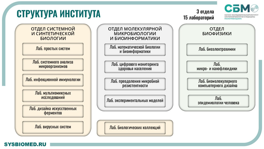 Структура института.jpg