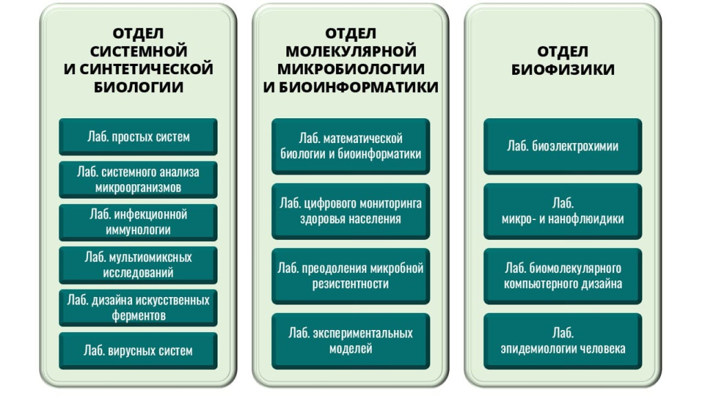 Структура_2025-01.jpg