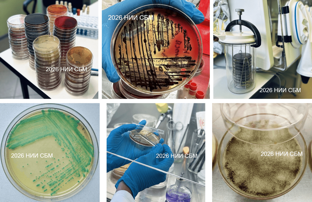 Рисунок1 (1).png