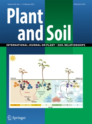 Plant and Soil.jpg