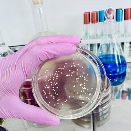 Лаборатория преодоления микробной резистентности